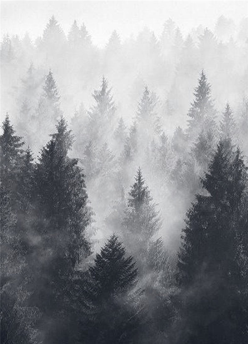 酒店設(shè)計(jì),石家莊民宿設(shè)計(jì),石家莊會(huì)所設(shè)計(jì),石家莊酒店設(shè)計(jì)哪家好,會(huì)所設(shè)計(jì)價(jià)格